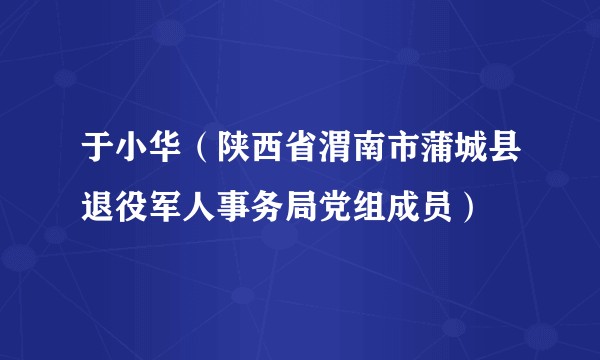 于小华（陕西省渭南市蒲城县退役军人事务局党组成员）