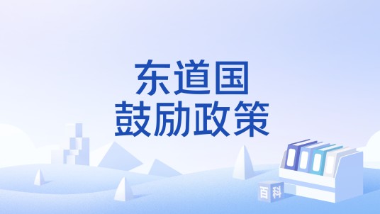 东道国鼓励政策