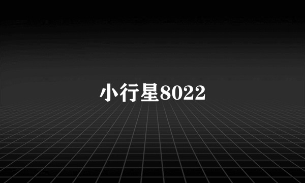 小行星8022