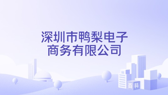 深圳市鸭梨电子商务有限公司