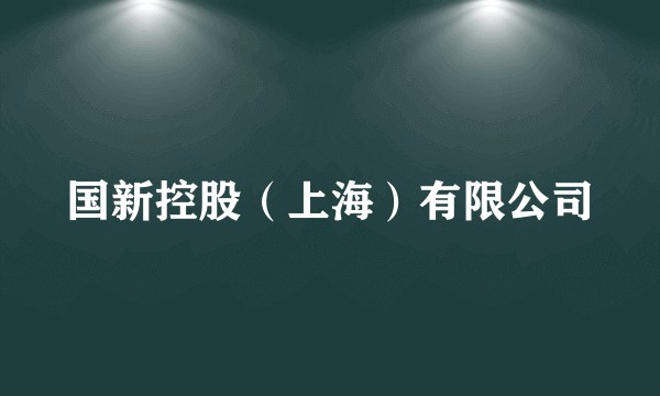 国新控股（上海）有限公司