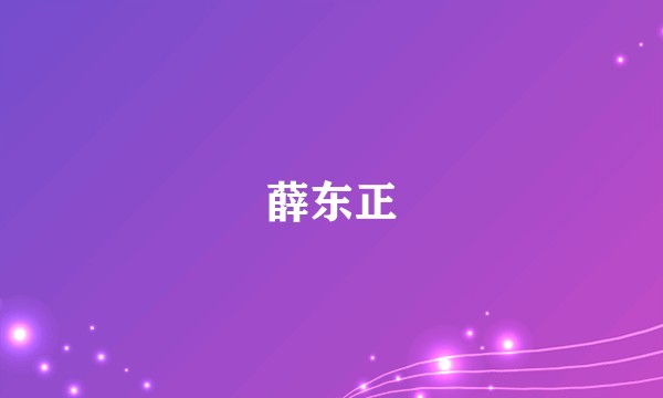 薛东正