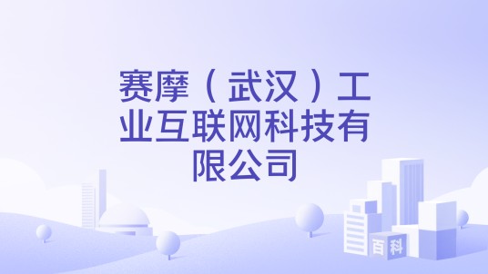 赛摩（武汉）工业互联网科技有限公司