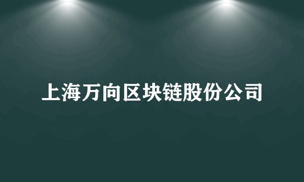 上海万向区块链股份公司