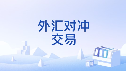 外汇对冲交易