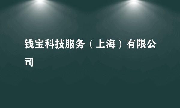 钱宝科技服务（上海）有限公司