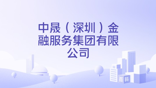 中晟（深圳）金融服务集团有限公司