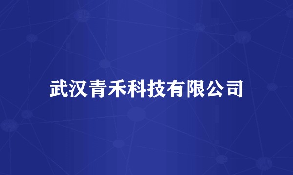 武汉青禾科技有限公司
