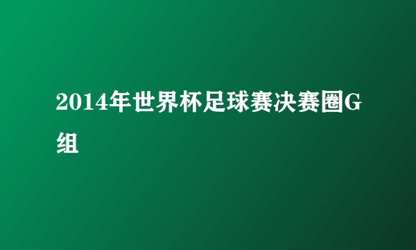 2014年世界杯足球赛决赛圈G组