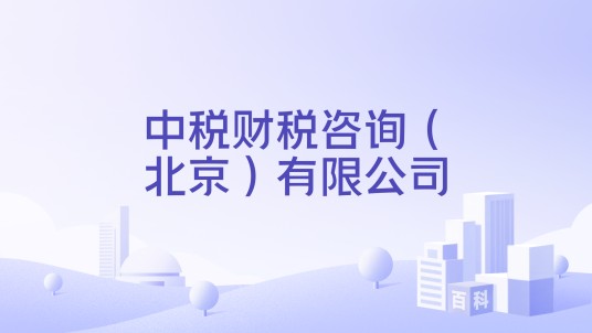 中税财税咨询（北京）有限公司