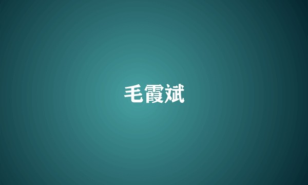 毛霞斌