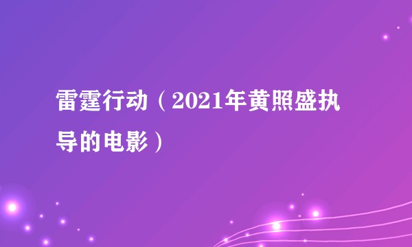 雷霆行动（2021年黄照盛执导的电影）