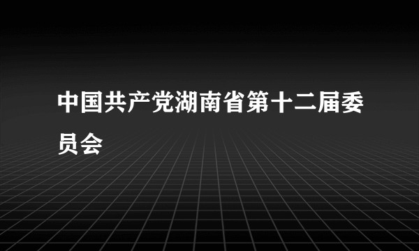 中国共产党湖南省第十二届委员会