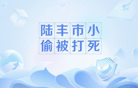 陆丰市小偷被打死