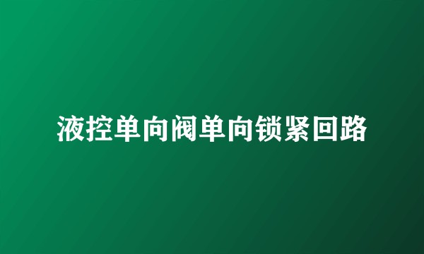 液控单向阀单向锁紧回路