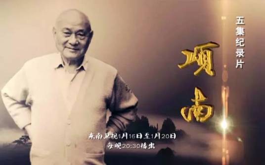 项南（东南卫视播出的五集纪录片）