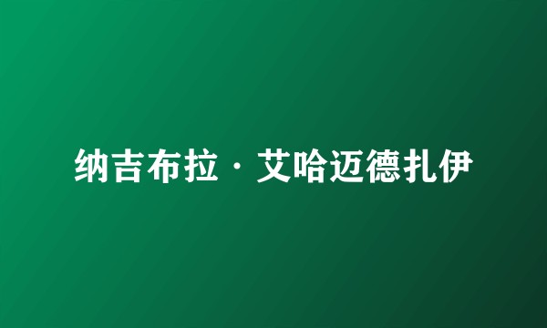 纳吉布拉·艾哈迈德扎伊