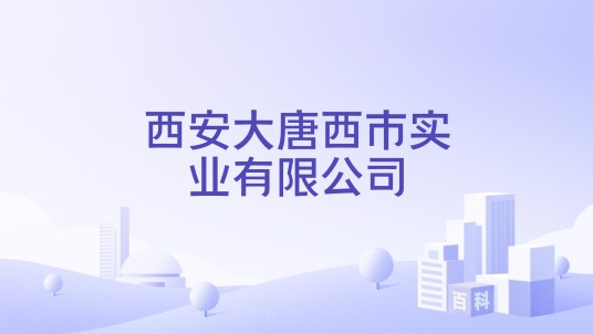 西安大唐西市实业有限公司