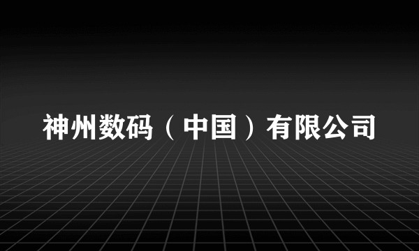 神州数码（中国）有限公司