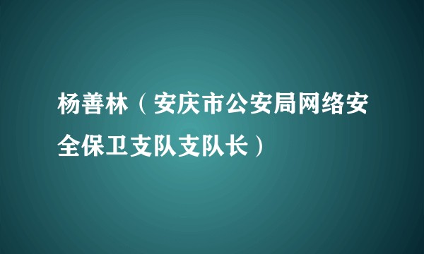 杨善林（安庆市公安局网络安全保卫支队支队长）