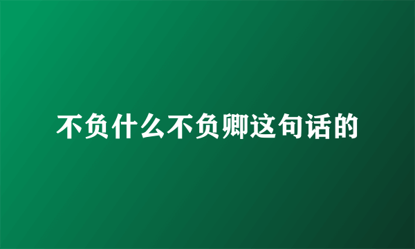 不负什么不负卿这句话的
