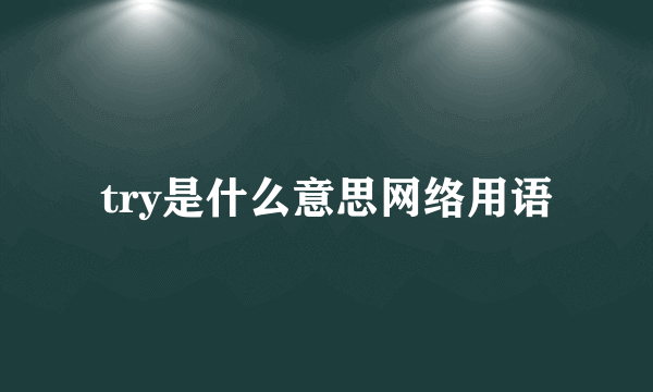 try是什么意思网络用语
