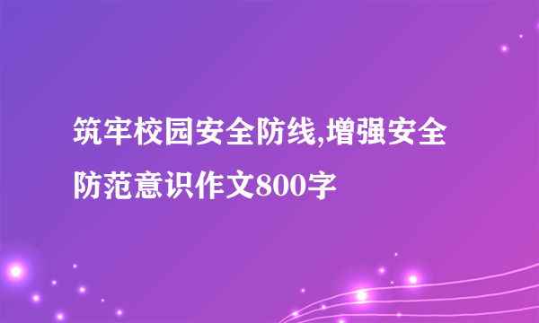 筑牢校园安全防线,增强安全防范意识作文800字