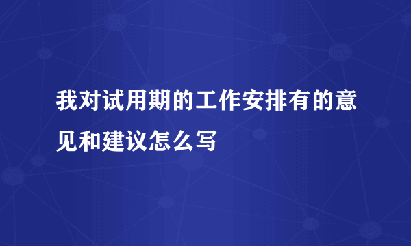 我对试用期的工作安排有的意见和建议怎么写