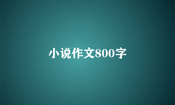 小说作文800字
