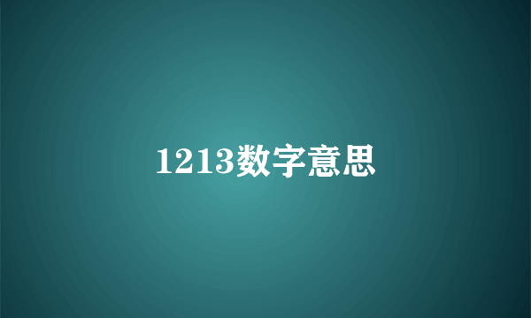 1213数字意思