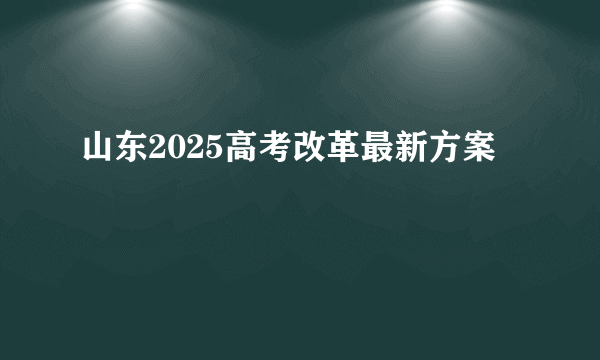 山东2025高考改革最新方案