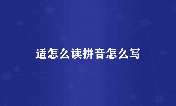 适怎么读拼音怎么写