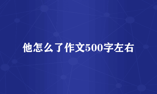 他怎么了作文500字左右
