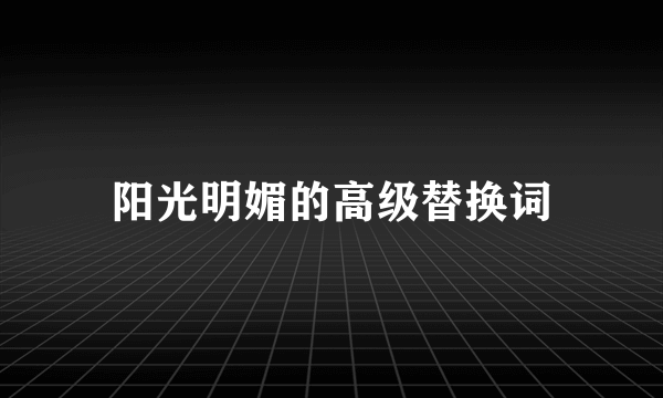 阳光明媚的高级替换词