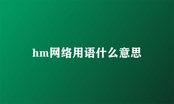 hm网络用语什么意思