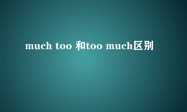 much too 和too much区别