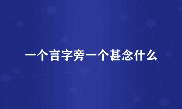 一个言字旁一个甚念什么