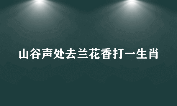 山谷声处去兰花香打一生肖