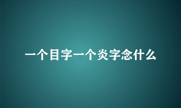 一个目字一个炎字念什么