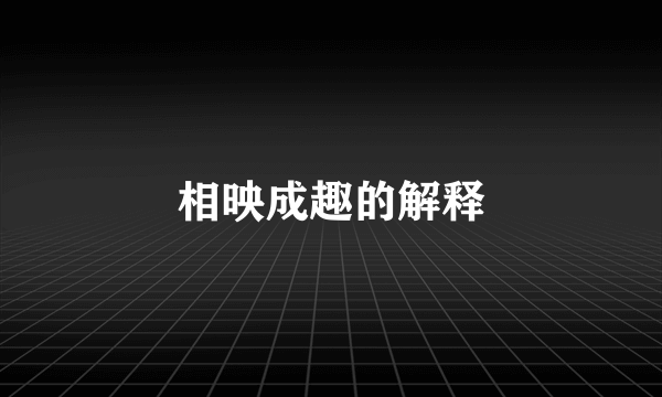 相映成趣的解释