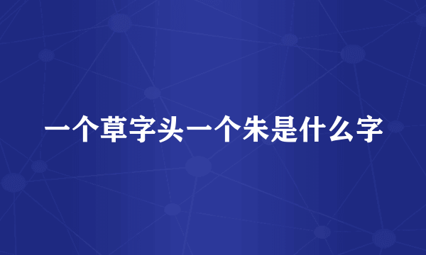 一个草字头一个朱是什么字