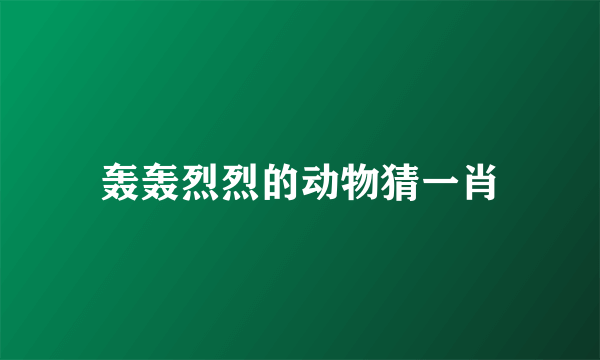 轰轰烈烈的动物猜一肖