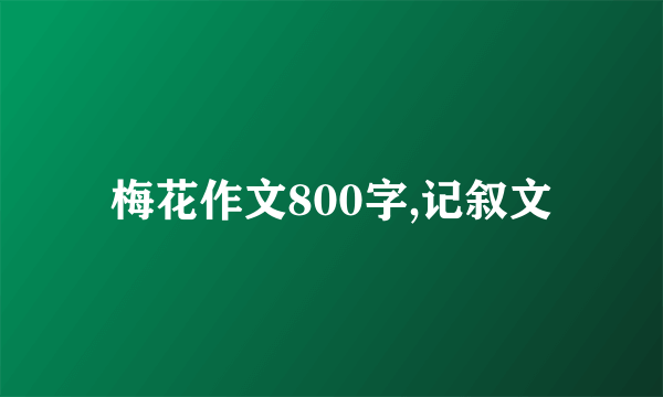 梅花作文800字,记叙文