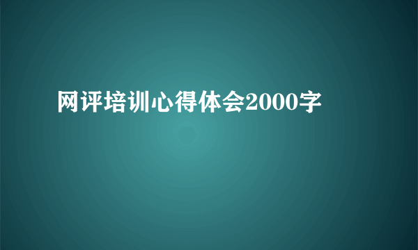 网评培训心得体会2000字