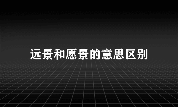 远景和愿景的意思区别