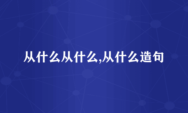 从什么从什么,从什么造句
