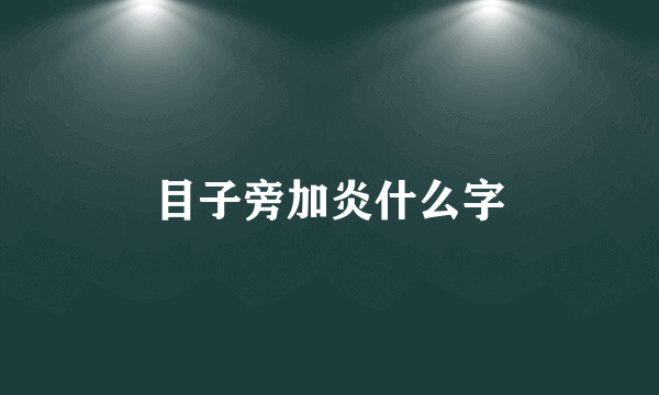 目子旁加炎什么字