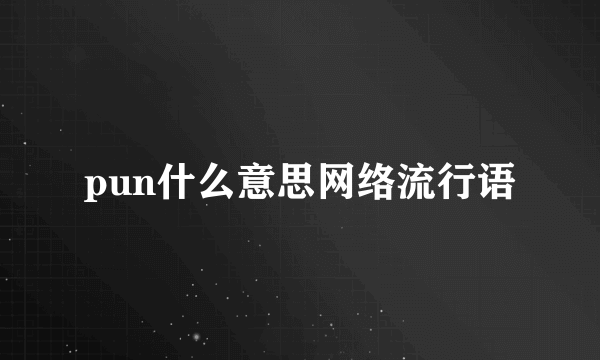 pun什么意思网络流行语