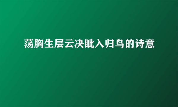 荡胸生层云决眦入归鸟的诗意