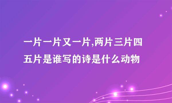 一片一片又一片,两片三片四五片是谁写的诗是什么动物